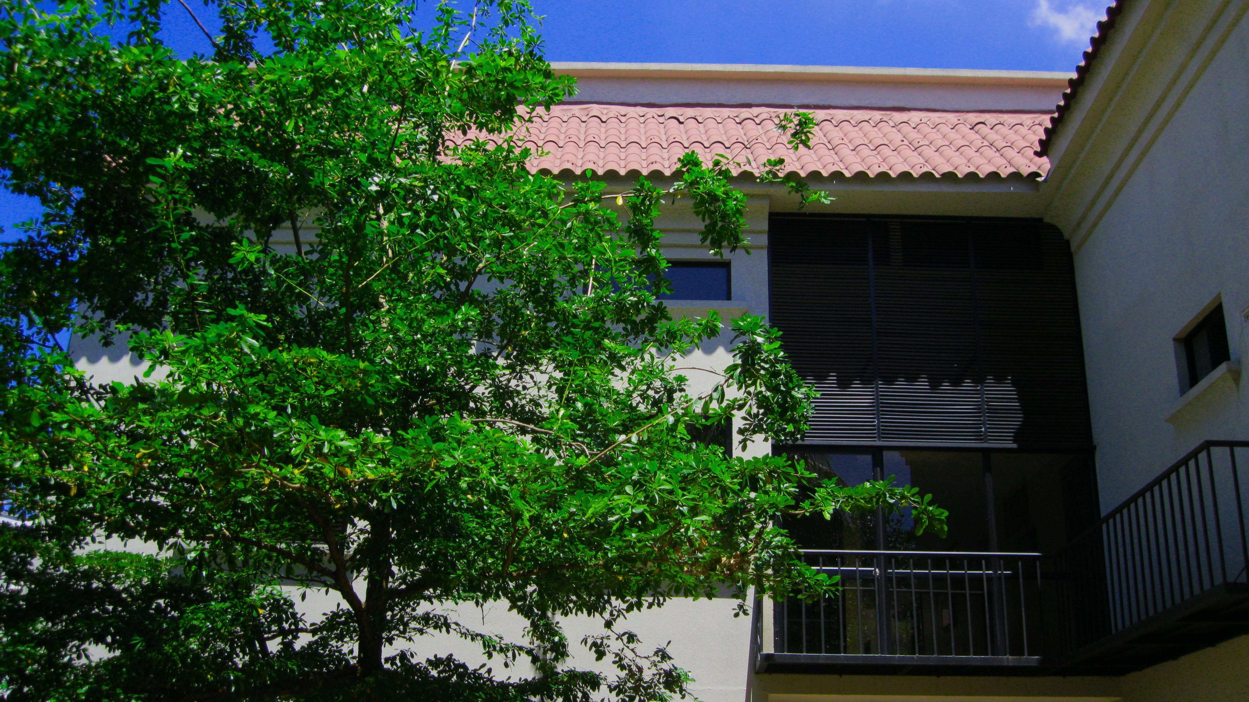 Apartterrazas Guayaquil -Suites&Lofts- Esterno foto